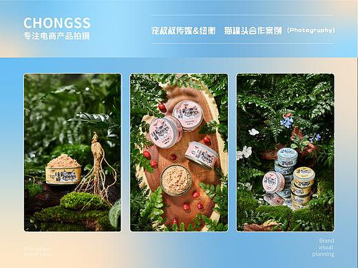 宠物罐头 | 纽衡 | 电商图片 | 宠叔叔传媒