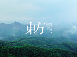 提案