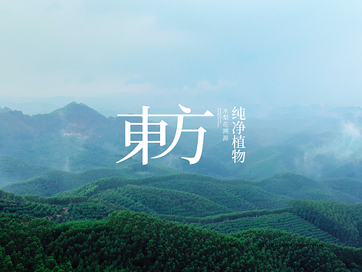 「东方纯净植物」三草两木溯源全案视觉