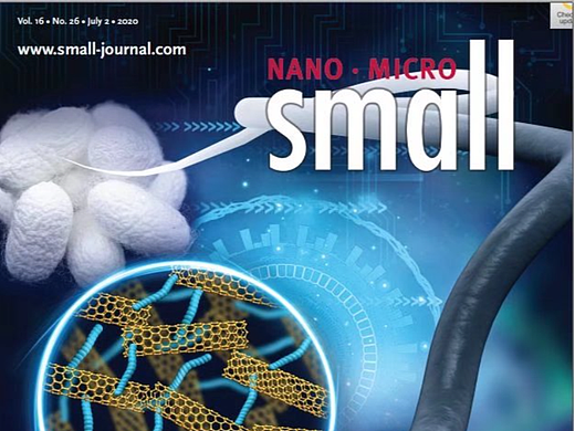 Small期刊封面图