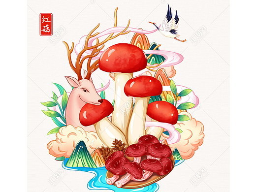 红菇插画手绘