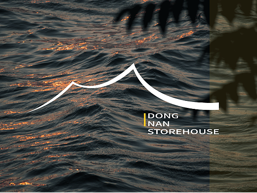 DONGNANSTOREOUSE 品牌设计