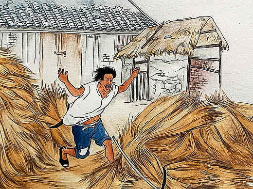 《近代果报见闻录》插图