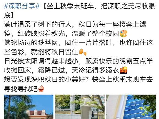 个人作品集——微博运营