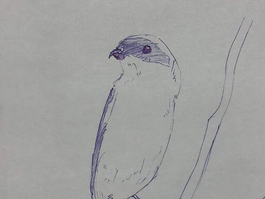 手绘速写打卡24（个人主页-ZNjMzNTk0ODQ=） - 创作习作 - 站酷设计师老林学画画原创素材 - 站酷ZCOOL