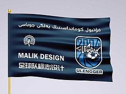 球隊標志設計案例