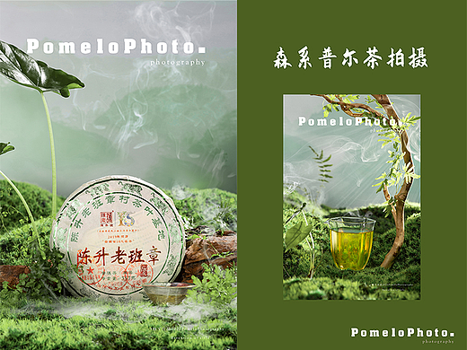 普洱生茶 ｜陈升老班章｜茶叶拍摄 |
