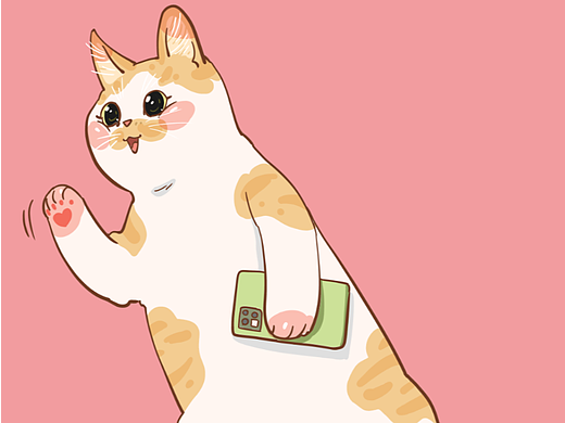 画猫的1339天，哈喽，可以做朋友么？