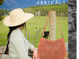 首页-海报详情页edm