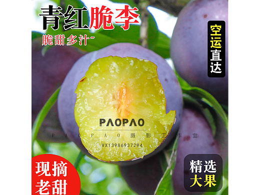 五月脆李子电商爆款精选主图更新