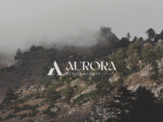 AURORA-logo设计