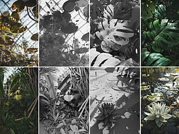 【虚幻5】风格化渲染