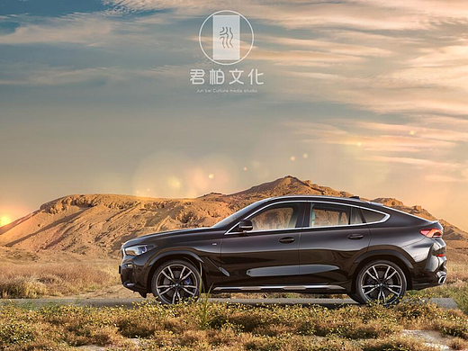 BMW-X67