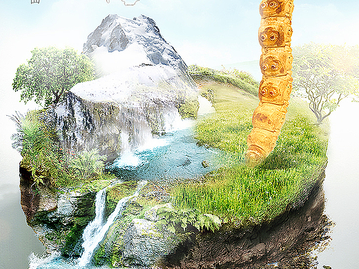 西藏那曲冬虫夏草详情滋补品食品中药详情