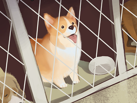 Finding Home