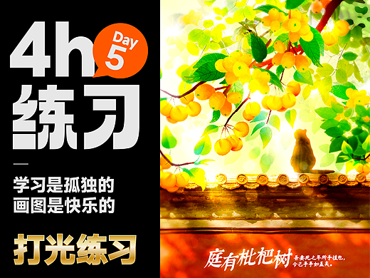 练习打卡-第5天