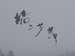 《墻上蘆葦》電影片名字體創(chuàng)作