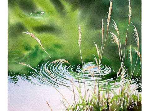 秋风起……水彩