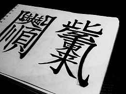 共生字体设计 ryumsun