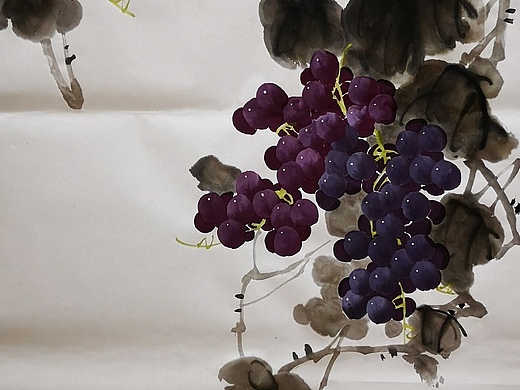 画家杨刚写意葡萄_素材网站_图片免费下载-zcool站酷