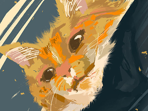 Procreate | 猫咪眼中有星河（个人主页-ZNTM0NTA2NzY=） - 艺术插画 - 站酷设计师楼小羊原创素材 - 站酷ZCOOL