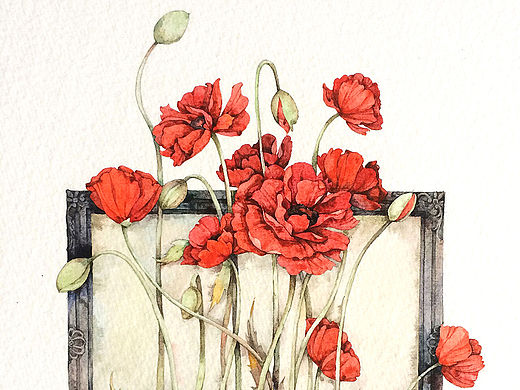 那仁插画＃花草绘集＃