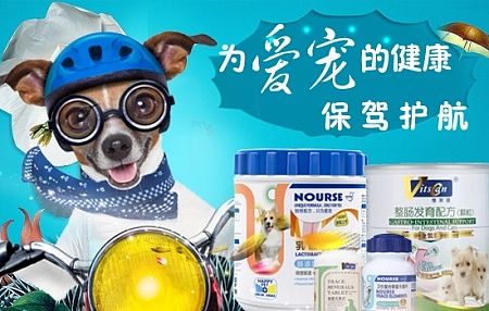 为爱宠的健康保驾护航（个人主页-ZMTI5NDU3MDA=） - 海报 - 站酷设计师纪香连子原创素材 - 站酷ZCOOL