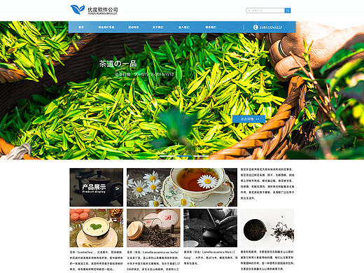 网页模板设计（初稿）