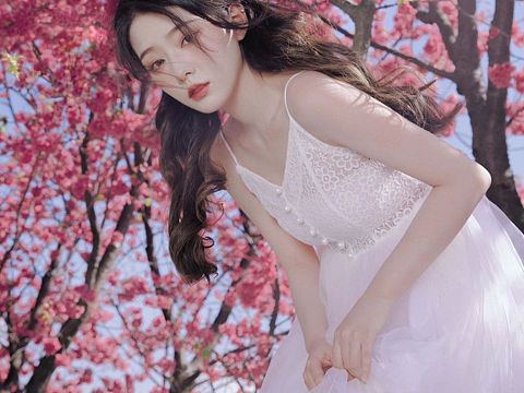 来陪我看樱花🌸吗？