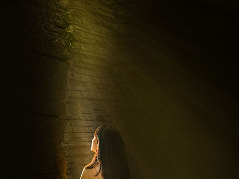 你是否也在寻找希望