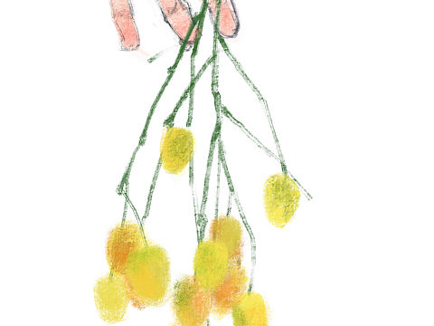 夏日艳果（个人主页-ZMzgxMTM4MjQ=） - 创作习作 - 站酷设计师四夕www原创素材 - 站酷ZCOOL