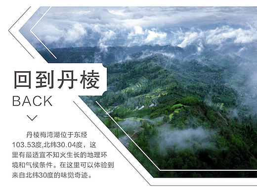 红脸谱 | 众筹页面设计（橙意多）