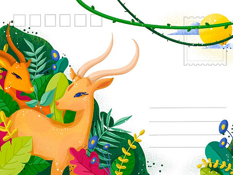 藏羚羊金丝猴明信片设计（个人主页-ZNTA1NzkyNjg=） - 商业插画 - 站酷设计师千恩原创素材 - 站酷ZCOOL