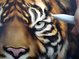 心有猛虎  細嗅薔薇