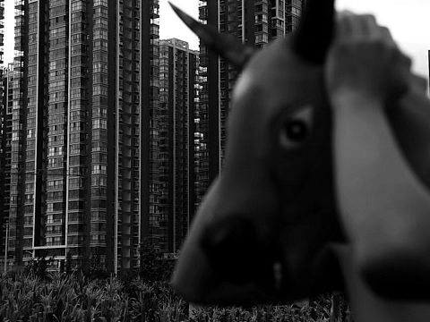 牛圖騰（個人主頁-ZMjQ5OTUwNTI=） - 其他攝影 - 站酷設計師刁難游戲原創(chuàng)素材 - 站酷ZCOOL