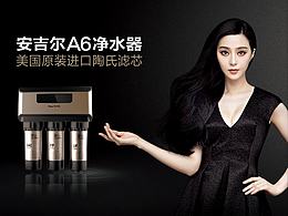 Angel Brand Redesign