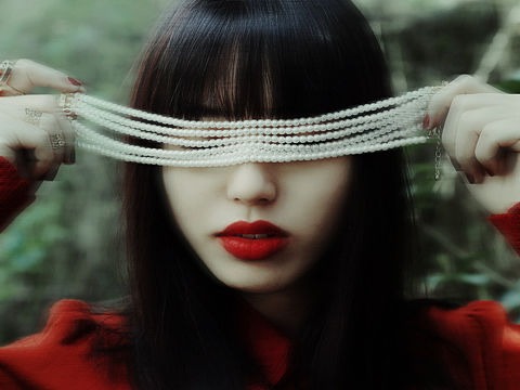 《山茶花》写真