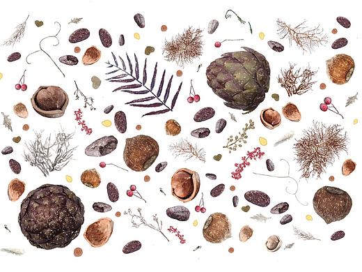 酵素產(chǎn)品包裝設(shè)計(jì)（個(gè)人主頁-ZMTc2NTk5NTY=） - 品牌 - 站酷設(shè)計(jì)師nearninini原創(chuàng)素材 - 站酷ZCOOL