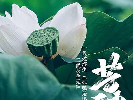 芒种已至 北方麦黄 南方梅熟