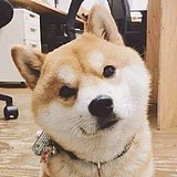 一一元一一的头像