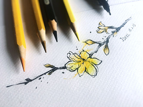 手稿