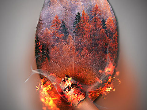 公益海报（个人主页-ZMzgyMjU4NzI=） - 海报 - 站酷设计师毛栗迩原创素材 - 站酷ZCOOL