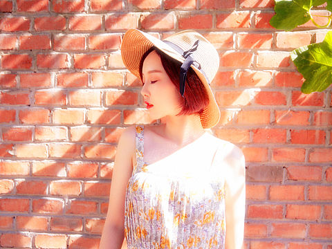盛夏の光