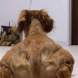 午后的阳光很灿烂的头像