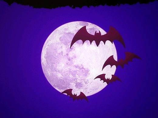 嗯,一个诡谲多变的魔女