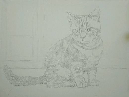 宠物画家刘诗洋――窗台上的小猫（步骤一）