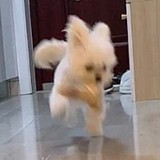 卷毛毛很卷的头像
