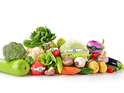 生态农场的宣传拍摄