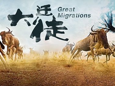 旅游BANNER