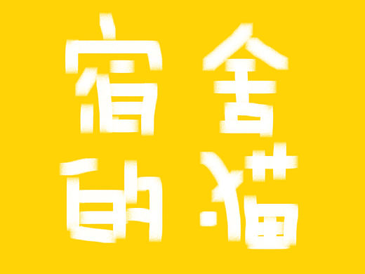 宿舍的猫Tiger